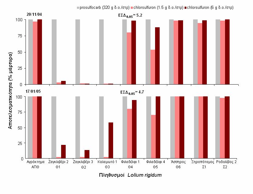 24 συνιστώµενης δόσης του chlorsulfuron (1.5 g δ.ο./στρ) κατά 97, 94, 80, 98 και 98% για το πρώτο πείραµα και κατά 100, 100, 80, 98 και 100% για το δεύτερο, αντίστοιχα, σε σύγκριση µε τον αψέκαστο µάρτυρα (Σχήµα 2.