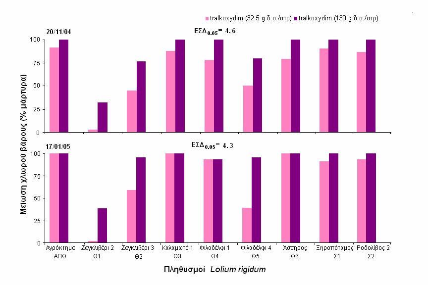 34 Σχήµα 2.4: Μείωση χλωρού βάρους των εννέα Lolium rigidum βιοτύπων στις 4 εβδοµάδες από τη µεταφυτρωτική εφαρµογή των επεµβάσεων.