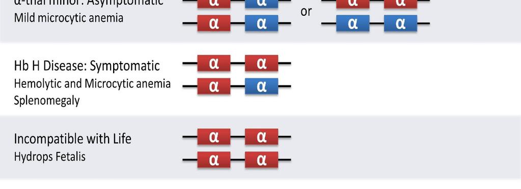 φορέας Ήπια ασυμπτωματική α-θαλασσαιμία Αιμοσφαιρίνη Η