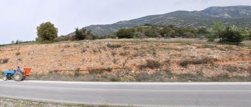 7.1.5 Τριτογενή και Τεταρτογενή ιζήματα Το Παγγαίο χαρακτηρίζεται από την παρουσία τριτογενών και τεταρτογενών αποθέσεων περιμετρικά του ορεινού όγκου (Kronberg, 1972; Kronberg and Schenck, 1974;