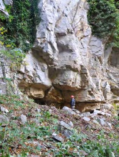 Εικόνα 8.6.5.2 Η είσοδος της στοάς Ασημότρυπα-4. Εικόνα 8.6.5.3 Η απόληξη της στοάς Ασημότρυπα-4. 8.6.6 Μεταλλευτική Στοά Ασημότρυπα-5 Η Ασημότρυπα-5 αποτελεί τη μεγαλύτερη υπόγεια εκμετάλλευση στην περιοχή.