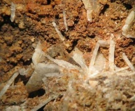 της στοάς Οφρύνιο-2 (POF-1) και από το εσωτερικό της στοάς Οφρύνιο-3 (POF-3).