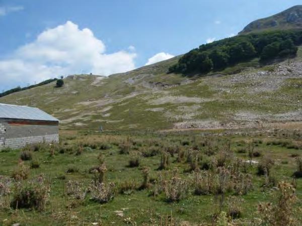 9.8 Μεταλλουργική Θέση Αβγού 9.8.1 Περιγραφή Θέσης Η μεταλλουργική θέση εντοπίζεται στις βορειοδυτικές υπώρειες της κορυφής «Αβγό» του Παγγαίου, σε υψόμετρο 1750 m.