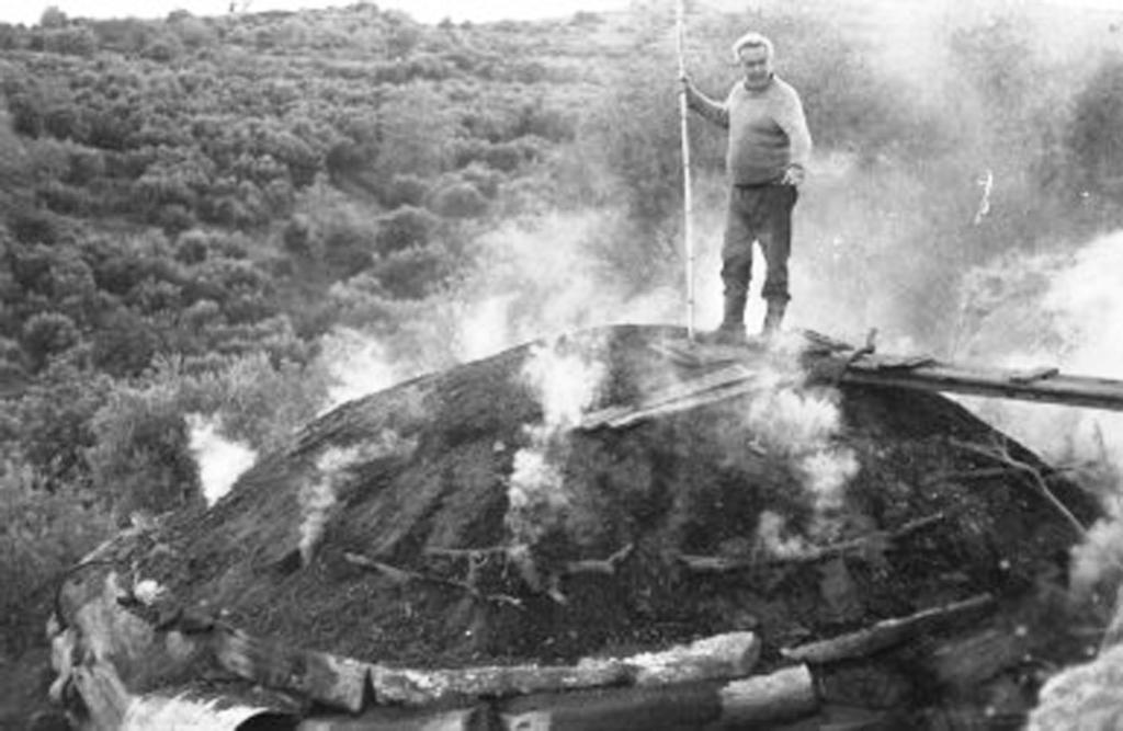 Καύσιμη Ύλη Η βασική καύσιμη ύλη στη πυρομεταλλουργική διαδικασία είναι το ξυλοκάρβουνο (Εικ. 3.8.2.1), προερχόμενο από την αναερόβια καύση των ξύλων.