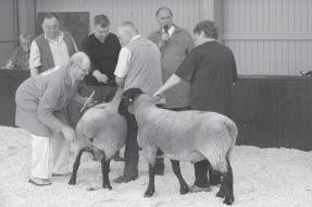 Okamžite nás usadili k svojmu stánku a začali sa pracovné rozhovory. Jednal sa najmä o vzájomnej spolupráci. Tiež sme českých ovčiarov pozvali na výstavu Agrokomplex 2007.