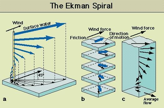 Μεταφορά Ekman Μέση (στο βάθος) μεταφορά