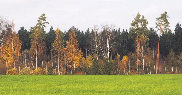 .9 nii, et üheski reas, veerus ja tumedama joonega piiratud 9 ruudukeses poleks korduvaid numbreid.