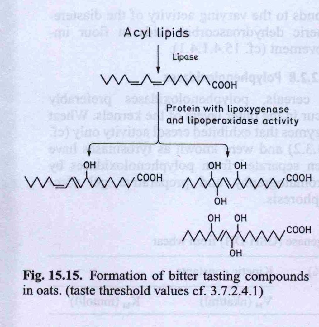Lipidi, lipaze,