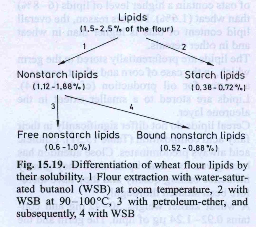 Razgradnja i oksidacija lipida