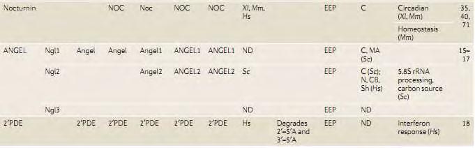 (Goldstrohm και Wickens, 2008) C3HZnF, Cys-Hiszincfinger; C, cytoplasm; CB, cajalbody; Ce, Caenorhabditiselegans; Dm, Drosophilamelanogaster; Hs, Homosapiens; LRR, Leu-richrepeat;