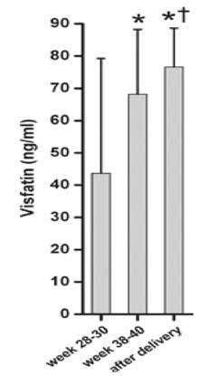 Η Λιποκυττοκίνη βισφατίνη στην κύηση Lopez et al.