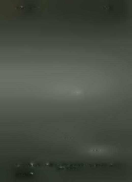 ΧΡΟΝΙΚΑ Α.Δ.