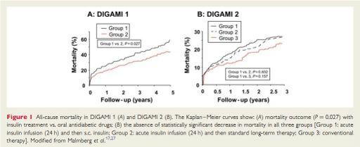 - K. Malmberg, L. Ryden et al. Intense metabolic control by means of insulin in patients with diabetes mellitus an acute myocardial infarction (DIGAMI 2): effects on mortality and morbidity. Eur.