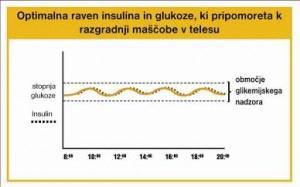 Jogurt 35 Jabolko (svež sadež) 35 Rjavi fižol 35 Fige (svež sadež) 35 Sladoled s fruktozo 35 Nektarine (svež sadež) 35 Breskve (svež sadež) 35 Granatno jabolko (svež sadež) 35 Kompot brez sladkorja