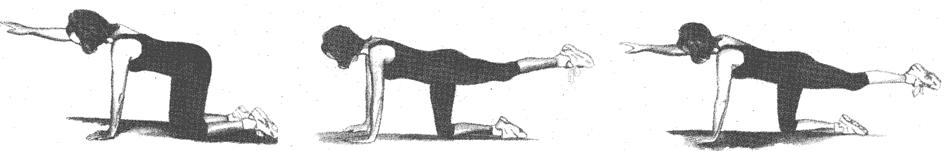 Slika 24: Vaja za krepitev hrbtnih in zadnjičnih mišic Vir: Lasten 3.12.