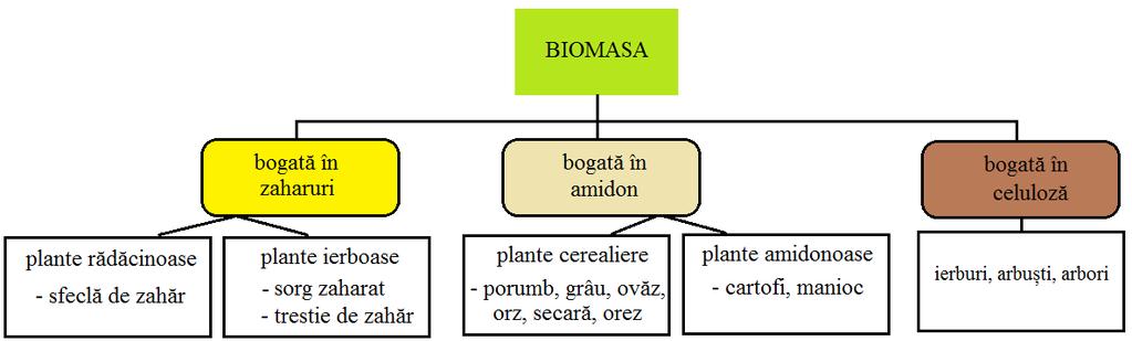 Figura CG.06.10. Culturi energetice utilizate la obţinerea bioetanolului. (imagine adaptată după http://biofuels.dbioro.eu/bioetanol.