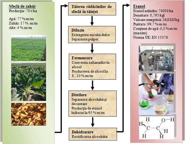 De exemplu, în Fig. CG.06.12 se prezintă schema fluxului tehnologic de obţinere a bioetanolului din sfecla de zahăr. Figura CG.06.12. Schema fluxului tehnologic de obţinere a bioetanolului din sfecla de zahăr.