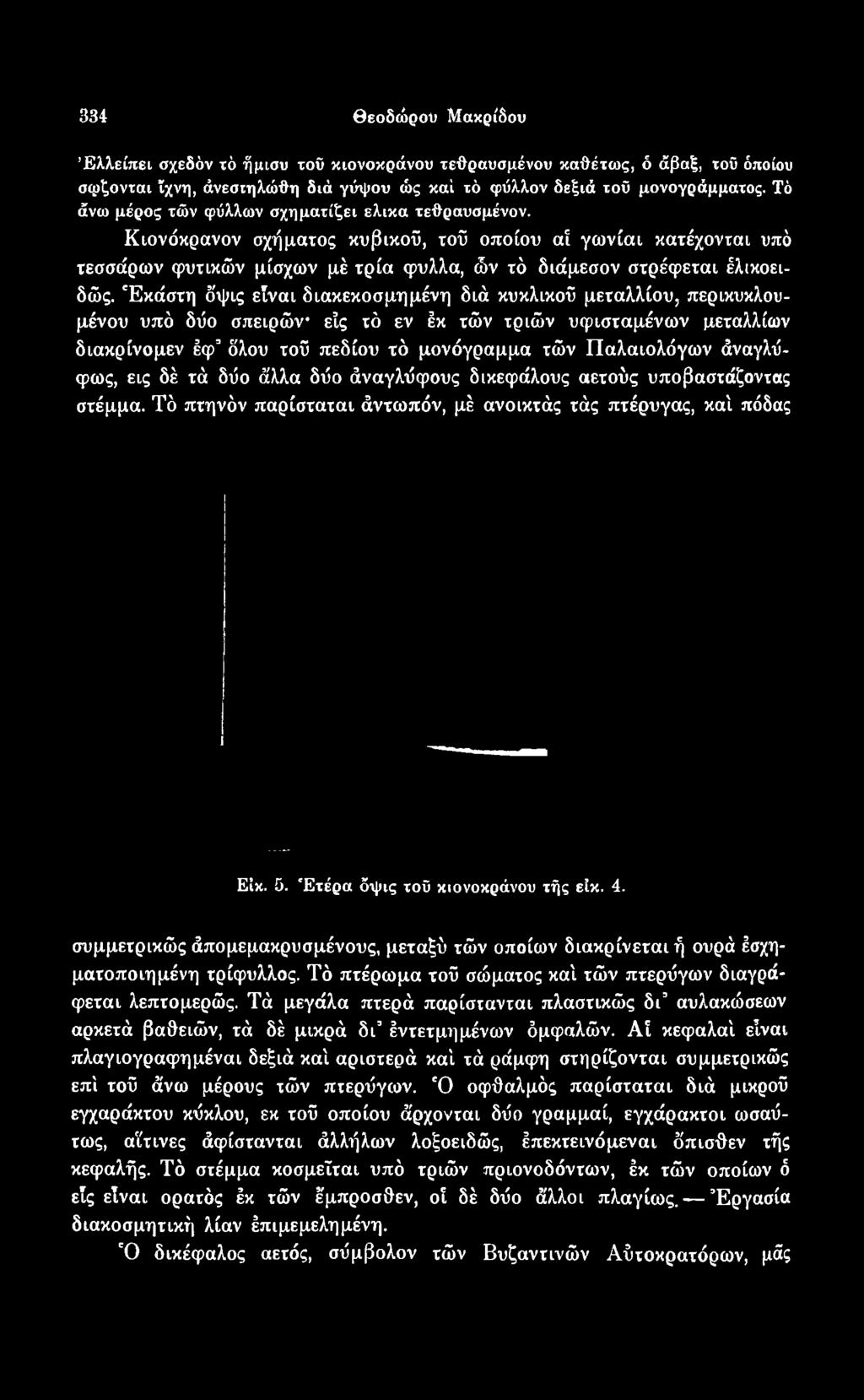 συμμετρικώς άπομεμακρυσμένους, μεταξύ τών οποίων διακρίνεταιή ουρά έσχηματοποιημένη τρίφυλλος. Τό πτέρωμα τού σώματος καί τών πτερύγων διαγράφεται λεπτομερώς.