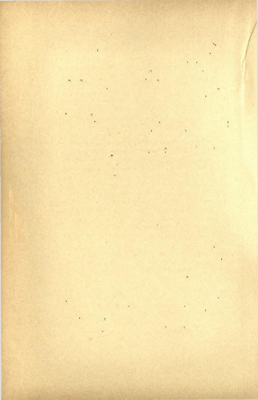 66 Πρακτικά τοϋ 1899 χομένου έπιγοαφαί ήσαν παρά τά μήπω άνακαλυφθέντα αρχεία καί τόν ναόν τοΰ τρίτου αΐώνος, τοϋ όποιου τά ίχνη ανέκαθεν νομίζω ότι μοί ΰποδηλοΰσιν οί μεγάλοι παρά την αγίαν Τριάδα