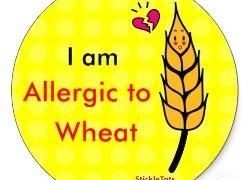 Συμπτώματα αλλεργίας στο σιτάρι Το σιτάρι α)οτελεί βασικό κο11άτι του καθη1ερινού διαιτολογίου α)ό την 2η βρεφική ηλικία έως και την ενήλικο ζωή σχεδόν σε όλο τον κόσ1ο.