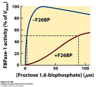prilikom glikolize odnosno glukoneogeneze glikoliza glukoneogeneza Fruktoza 2,6-bisfosfat (F26BP) ima