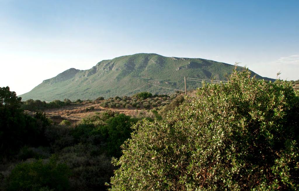 ΠΡΟΣΦΕΡΕΙ ΠΑΝΟΡΑΜΙΚΗ ΘΕΑ ΠΡΟΣ ΤΗΝ