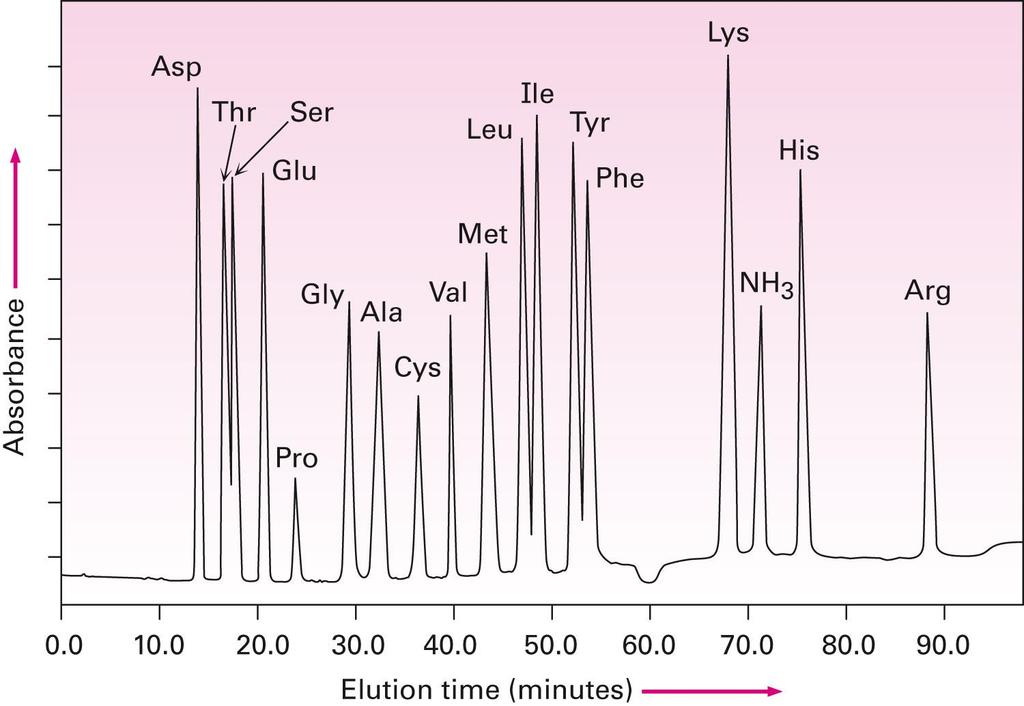 СТРУКТУРА НА ПЕПТИДИТЕ Хроматограм на стандардна еквимоларна смеса од 17 α-