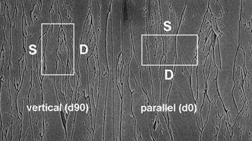 nm Β) 50 nm και C) 100 nm.