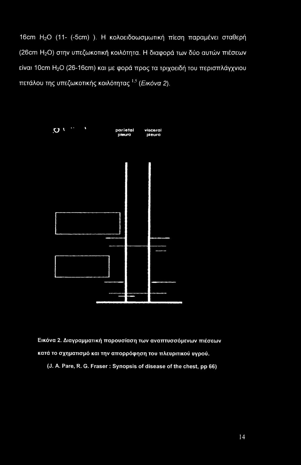 υπεζωκοτικής κοιλότητας 1,5 (Εικόνα 2). SJ ν " 1 parietal visceral pleura pleura Εικόνα 2.