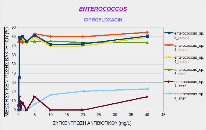 Εικόνα 25: Μείωση της συγκέντρωσης των στελεχών του βακτηρίου Enterococcus sp.σε συνάρτηση με τη συγκέντρωση του αντιβιοτικού Ciprofloxacin, πριν και μετά την οζόνωση.
