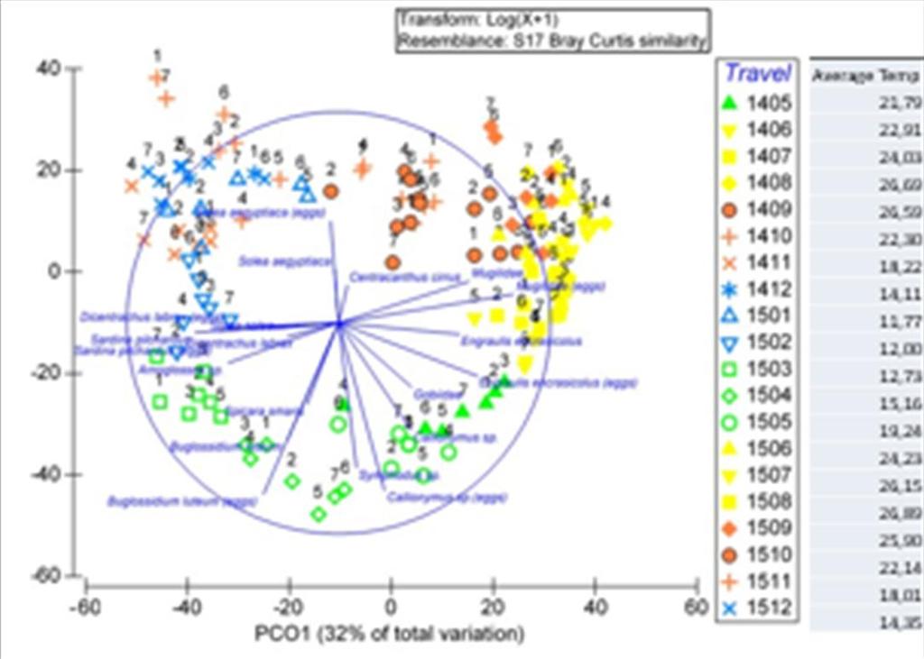 Graph 1. PCO of station distribution correlated with most abundant species ςελ.