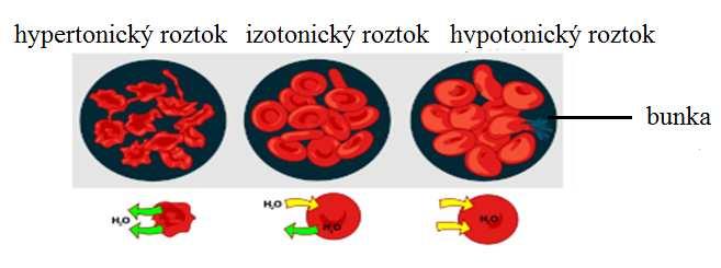 Zároveň latí Vant Hoffov zákon: Rozustená látka obsahuje v zriedenom roztoku ráve toľko molekúl, koľko by obsahovala v lynnom stave ri tej istej telote, v tom istom objeme a ri tlaku, ktorý sa rovná