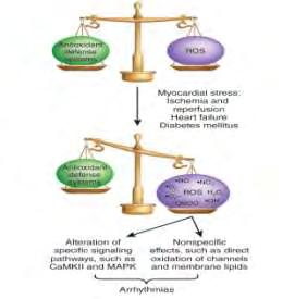 Γενικά, μία σειρά από επιδημιολογικές και in vivo μελέτες έχουν δείξει ότι η αυξημένη κατανάλωση φυτικών τροφών παίζει σημαντικό χημειοπροστατευτικό ρόλο, γιατί συνδέεται με μειωμένο κίνδυνο για