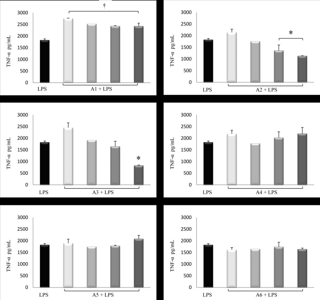 ΚΕΦΑΛΑΙΟ 3: ΑΠΟΤΕΛΕΣΜΑΤΑ 0.05 μg/μl 0.1 μg/μl 0.2 μg/μl 0.5 μg/μl *Όπου Α1: Αντωναΐδα, Α2: Δενδρολίβανο, Α3: Δίκταμο, Α4: Θρύμπα, Α5: Θυμάρι, Α6: Μαντζουράνα Διάγραμμα 3.