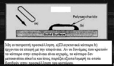 Καθώς η απόσταση φτάνει τα 20 nm, μαζί, μεγάλου εύρους δυνάμεις και ηλεκτροστατικές αλληλεπιδράσεις πραγματοποιούνται.