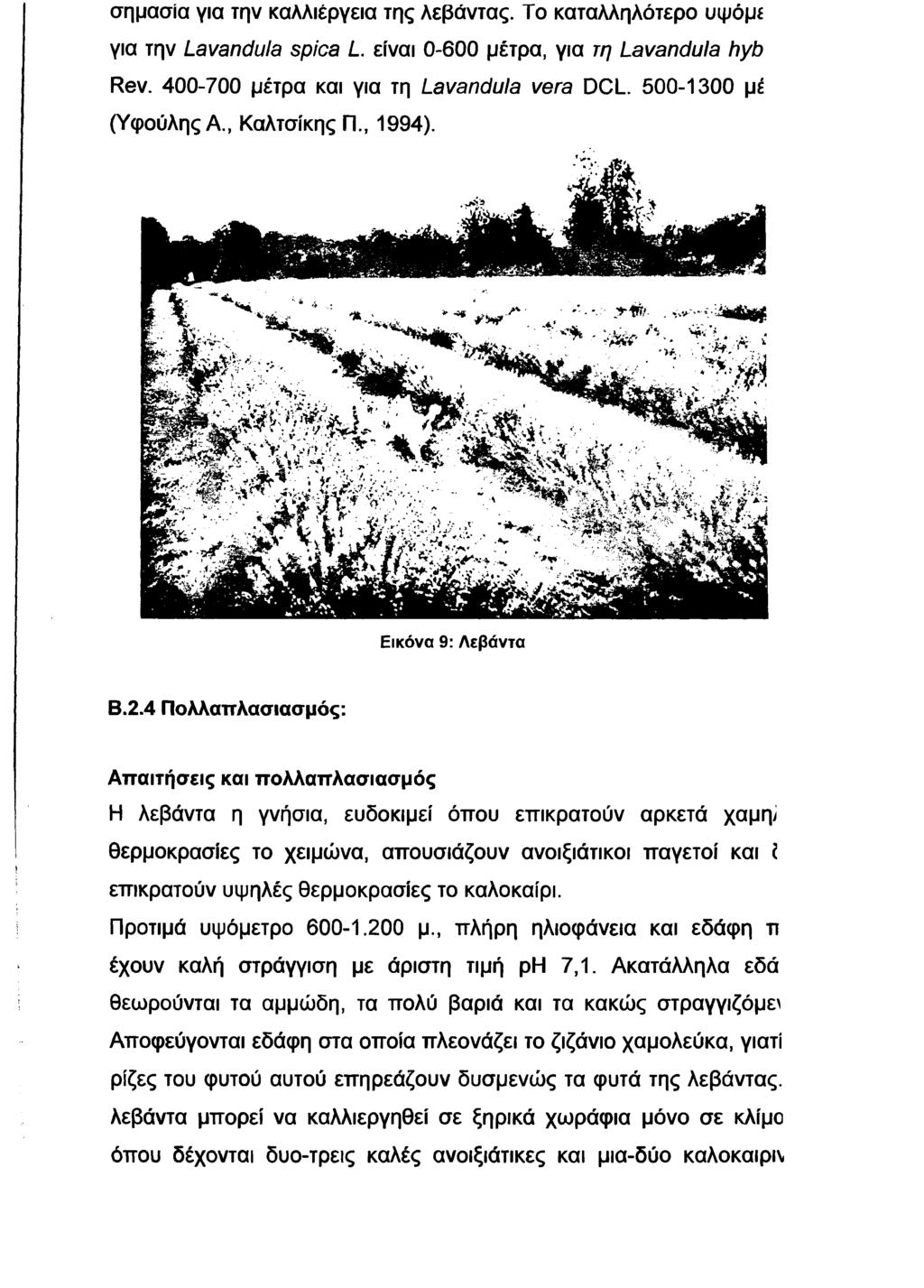 σημασία για την καλλιέργεια της λεβάντας. Το καταλληλότερο υψόμ* για την Lavandula spica L. είναι 0-600 μέτρα, για τη Lavandula hyb Rev. 400-700 μέτρα και για τη Lavandula vera DCL.