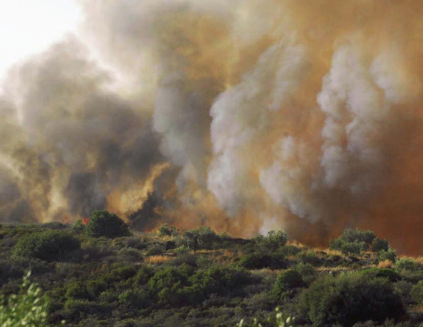 24 ΕΛΛΑΔΑ ΕΘΝΙΚΟΣ ΚΗΡΥΞ Το πύρινο «προφίλ» της Ελλάδας Οσυνολικός αριθμός των δασικών πυρκαγιών στην Ελλάδα από το 1980 έως το 2016 έφθασε τις 53.