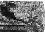 Ред 4: XXVI Вулић, Споменик XCVIII; VV... Šašel. Ред 5: h(ic) s(iti) s(unt)?