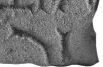42. Фрагмент споменика од беличастог кречњака, димензија 9,3 x 9,7 x 2,4 cm. Фрагмент је нађен 1986.
