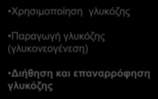 Συμμετοχή του νεφρού στην ομοιοστασία της γλυκόζης Χρησιμοποίηση γλυκόζης Παραγωγή γλυκόζης