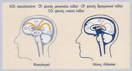 Εικόνα 3.