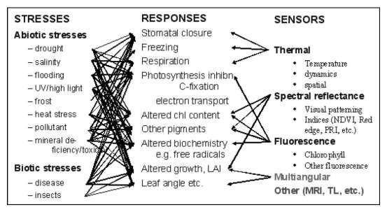 Εικόνα 8 Καταπονήσεις, αντιδράσεις των φυτών και αισθητήρες τηλεπισκόπισης που μπορούν να καταγράψουν τα σχετικά σήματα (Jones και Schofield, 2008).