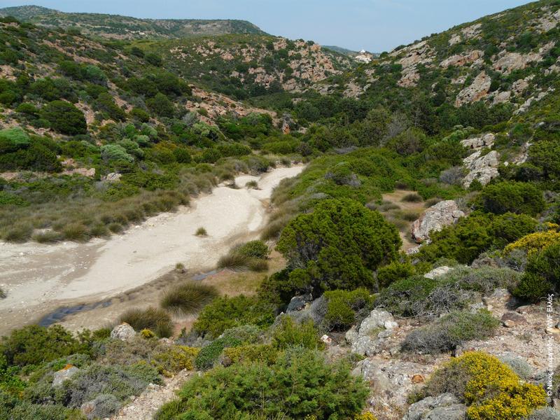 Βιβλιογραφία Πορτόλου, Δ., Σ. Μπουρδάκης, Χ. Βλάχος, Θ. Καστρίτης και Τ. Δημαλέξης (επ.). 2009. Οι Σημαντικές Περιοχές για τα Πουλιά της Ελλάδας.