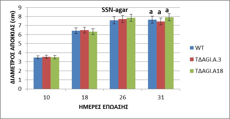 Μυκηλιακή αύξηση σε θρεπτικό υλικό SSN-agar Στην αξιολόγηση της μυκηλιακής αύξησης συγκρίθηκε η ανάπτυξη του μυκηλίου του άγριου στελέχους V. dahliae και των μεταλλαγμένων στελεχών ΤΔΑGI.A.
