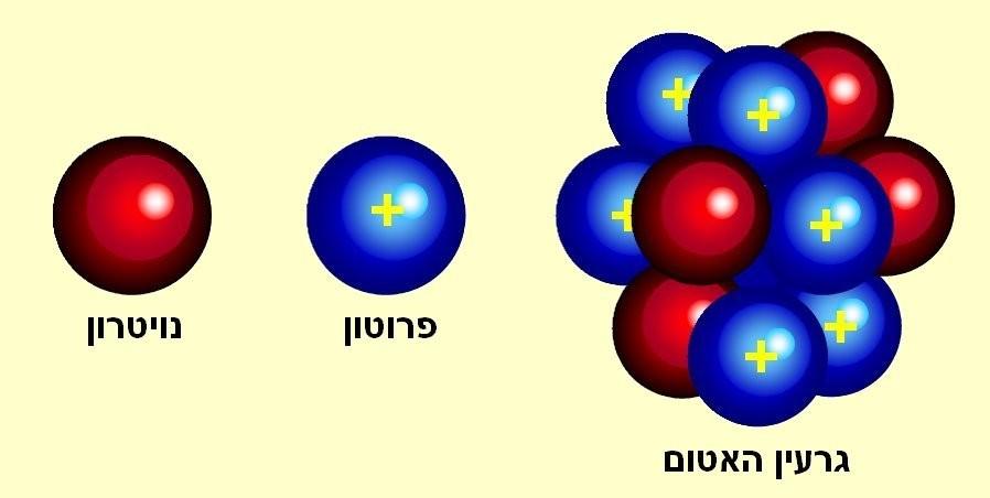 הגרעין מכיל שני חלקיקים: פרוטונים הטעונים חיובית וניוטרונים חסרי מטען.