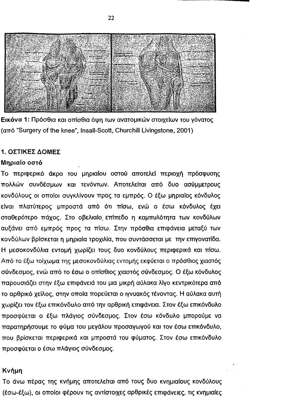 22 Εικόνα 1: Πρόσθια και οπίσθια όψη των ανατομικών στοιχείων του γόνατος (από Surgery of the knee, Insall-Scott, Churchill Livingstone, 2001) 1.