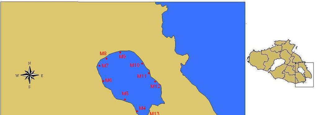 επιφανειακά ιζήματα του διαύλου αν και έχουν μειωθεί