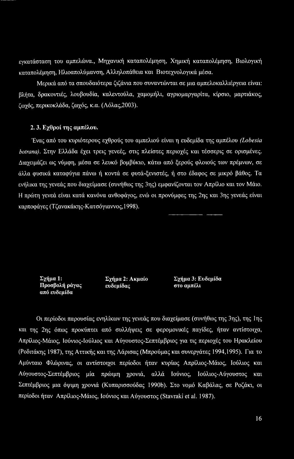 α. (Λόλας,2003). 2. 3. Εχθροί της αμπέλου. Ένας από του κυριότερους εχθρούς του αμπελιού είναι η ευδεμίδα της αμπέλου (Lobesia botrana).