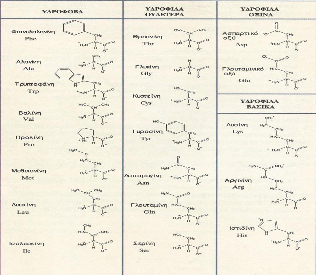 1.1 Βιολογικό Υπόβαθρο 1.1.1 Πρωτεΐνες Οι πρωτεΐνες αποτελούνται από μία ή περισσότερες (πεπτιδικές) αλυσίδες από απλούστερες χημικές ουσίες, τα αμινοξέα, των οποίων η διάταξη είναι προκαθορισμένη στο γενετικό υλικό (DNA).