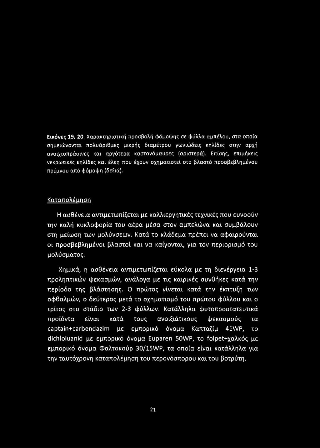 Εικόνες 19, 20. Χαρακτηριστική προσβολή φόμοψης σε φύλλα αμπέλου, στα οποία σημειώνονται πολυάριθμες μικρής διαμέτρου γωνιώδεις κηλίδες στην αρχή ανοιχτοπράσινες και αργότερα καστανόμαυρες (αριστερά).